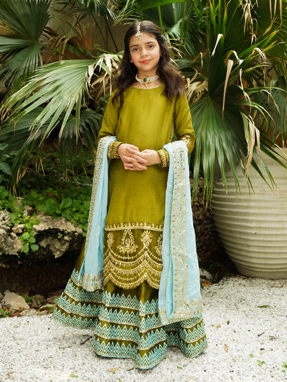 Embroidered-RawSilk-FK-02